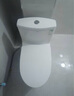 安华马桶一级水效连体坐便器小户型虹吸式家用节水卫生间坐厕NL131UL 实拍图
