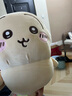 MINISO名创优品chiikawa站姿公仔毛绒玩偶玩具迷你娃娃礼物送女朋友正版 大号站姿公仔 (Usagi) 见详情 实拍图
