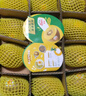 佳沛（zespri）新西兰  阳光金奇异果10粒礼盒巨大果单果约144-175g 水果 猕猴桃 实拍图