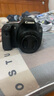 佳能/Canon 60D 70D 77D 80D 90D 半画幅 中高端单反 二手单反相机 数码相机 60D +50F1.8stm（小痰盂）套机 95成新 实拍图