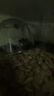 Orijen渴望猫粮 成猫幼猫干粮 六种鱼肉无谷全价通用进口1.8kg效期26/1 实拍图
