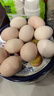 芮瑞 农家散养新鲜现捡土鸡蛋笨鸡蛋谷物柴鸡蛋初生蛋 单枚40g±3g 10枚 实拍图