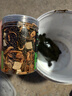 吉品鸿多拼冻干龟粮乌龟饲料面包虫小巴西龟黄缘草龟水龟幼龟粮500ML 实拍图