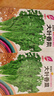 【随种随吃】调料菜种子组合春季四季易种耐热阳台盆栽通种蔬菜 大叶香菜种子1包约1000粒 一包约1000粒 实拍图