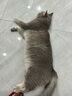 绿杰绿杰鲜汁发酵型苹果醋饮料280ml*6瓶装0蔗糖0脂肪健康饮料 实拍图