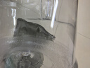 美厨（maxcook）纯净水桶 矿泉水桶饮水桶7.5L桶装水塑料饮水机手提户外桶MCX7513 实拍图