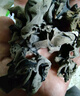富昌 东北无根黑木耳228g 肉厚无根木耳煲汤炒菜凉拌火锅材料特产干货 实拍图