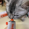 红狗 化毛膏58g+猫草片200片 化毛膏猫咪化毛膏猫咪维生素猫咪维生素b 实拍图