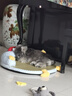 阿柴与猫大号冰窝猫窝睡觉用可拆洗冰丝狗窝夏天降温凉席猫咪垫子狗狗凉垫 实拍图