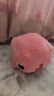 名创优品（MINISO）我的世界系列12号Q版公仔Pig猪 毛绒玩偶抱枕玩具 实拍图