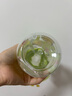 babycare儿童水杯夏季吸管杯学饮杯免拧户外运动直饮幼儿园上学水壶-青色 实拍图