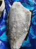 海皇湾格陵兰进口深海冰鲜冷冻鲽鱼身鸦片鱼头超大比目鱼鱼类生鲜批发 超大鲽鱼身 2000g 净重（两只装） 实拍图