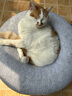 艾美康生鲜野鲭鱼肉低温烘焙猫粮45高蛋白鲜肉猫饭幼成猫通用主食猫粮 3Kg(1.5Kg*2袋) 实拍图