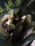 富昌 羊肚菌20g 山珍菌菇干货 鸡汤煲汤火锅食材 实拍图