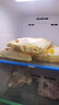 富春 蟹黄包300g 6只早餐包子 蟹肉包速食面食 扬州特产包子速冻蒸包 实拍图