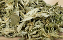 海氏海诺纯艾叶500g/袋三伏天泡脚中药足浴养生泡澡月子产后洗头 实拍图