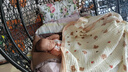 舒贝怡2件装婴儿衣服夏季薄款新生儿连体衣短袖哈衣儿童爬服粉色80CM 实拍图