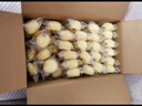 港荣蒸蛋糕椰香800g 面包零食早餐饼干蛋糕中西式糕点纯蛋糕甜品礼品 实拍图