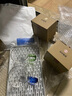 富光 玻璃杯茶杯透明泡花茶杯带把手杯子客厅水杯家庭套装男女牛奶杯 把手杯（4只彩色）+茶盘 实拍图
