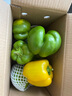 现摘新鲜圆辣椒超市即食太空椒皮厚肉多不辣水果灯笼椒 2斤普通装 2斤 实拍图