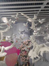 植护气垫抽纸4层360张*40大包纸抽整箱批发悦色橙餐巾纸卫生纸面巾纸 实拍图