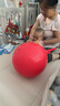 羊角球儿童感统训练蹦蹦球幼儿园宝宝健身跳跳球充气骑坐弹跳玩具 加厚45cm红色熊猫【材质/强承重 实拍图