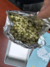 贡苑花草茶 广西原产茉莉花苞【保鲜铁罐125克】 茉莉花茶叶新花干 实拍图