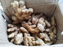 云南小黄姜 现挖生姜 自种老姜鲜姜 罗平生姜 新鲜蔬菜 火锅食材 小黄姜 带箱3斤（优选装） 实拍图