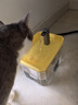 憨憨乐园宠物猫咪饮水机狗狗流动水活水猫饮水器喝水器自动循环猫狗喂水 实拍图