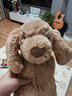 Jellycat害羞太妃糖色小狗动物毛绒玩偶可爱狗狗公仔送礼生日礼物 太妃糖色 Medium 实拍图