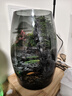 丘辰苔藓微景观养鱼生态瓶diy办公室内桌面绿植摆件花卉盆栽生日礼物 翠微2025款 实拍图