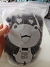 西域美农桑葚干500g 精选免洗攀枝花无沙桑子 养生茶黑桑葚干吃泡酒泡茶  实拍图