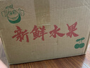 赵州皇冠梨河北皇冠梨脆甜多汁【三】 带箱9-10斤大果（净重8.2斤） 实拍图