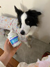 麦德氏IN犬微量元素双层片200g狗狗微量元素补充泰迪金毛啃土吃草挑食 实拍图