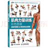 【包邮】肌肉力量训练彩色图谱 异步图书出品 实拍图