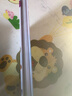 从小爱艺术·我是小艺术家 实拍图
