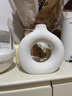 爱已装糖素胚陶瓷艺术花瓶轻奢摆件客厅插花中号甜甜圈白装饰花瓶生日礼物 实拍图