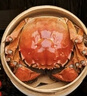 【活蟹】漁家师傅大闸蟹3.0-3.3两8只去绳足重鲜活螃蟹六月黄现货生鲜水产礼盒源头直发 实拍图