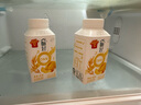 伊利【李现推荐】畅轻低温酸奶 生牛乳 原味紫米爆珠250g*4 酸牛奶 实拍图