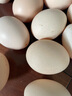 芮瑞 农家散养新鲜现捡鸡蛋笨鸡蛋谷物柴鸡蛋初生蛋 单枚40±5g 12枚 实拍图