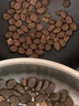 Orijen渴望猫粮 幼猫干粮 全价通用低敏无谷高蛋白进口1.8kg效期26/4 实拍图