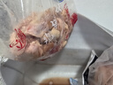 美人觉醒 鸡翅中原切 鸡翅新鲜鸡中翅冷冻大号琵琶腿 烧烤食材 鸡肉生鲜 【新鲜宰杀】原切鸡翅中 净重4斤 实拍图