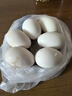 耕果妙新鲜大鹅蛋6枚1.56斤农家散养新鲜鹅蛋130-160g/枚 源头直发 包邮 实拍图