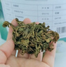 太守堂 蛤蟆草250克 癞蛤蟆草干雪见草荔枝草幼苗干品整颗新货 实拍图