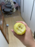 佳沛（zespri）新西兰  金果10粒猕猴桃礼盒巨大果单果144-175g 端午节水果礼盒 实拍图