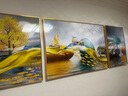Sixpoetry 客厅装饰画现代简约沙发背景墙壁画轻奢三联晶瓷画大气高档挂画 福禄双收（铝合金外框） 晶瓷画左右50*70+中间100*70亮面 实拍图