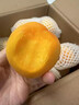 春福乐 山东蒙阴黄桃【多地次日达】新鲜水果金桃子脆蜜毛油送礼品物盒 【7A金奖级】单果90g+ 净4.5-5斤装【老树果-80%选择】 实拍图