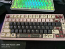WOB Rainy75RT电竞磁轴键盘CNC铝坨坨RGB万磁王轴0.01双0死区打瓦FPS游戏办公 旗舰版-霜桃粉【碳纤维定位板】RGB 实拍图