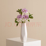 京东鲜花 北欧陶瓷花瓶装饰干花鲜花花瓶餐桌客厅插花创意摆件复古件艺术 实拍图