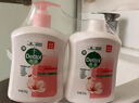 滴露（Dettol）洗手液抑菌滋润450g*2+松木450g*2儿童家庭补充装消毒温和护手 实拍图
